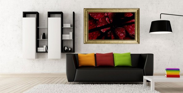 let_there_be_life-banner